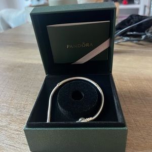 Pandora charm bracelet
